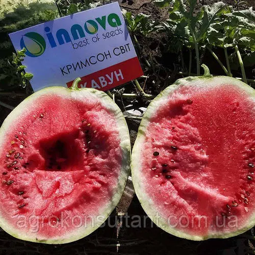 Насіння кавуна Кримсон Світ (Innova Seeds), 1 г - скоростиглий, середньоранній сорт з округлими смугастими плодами