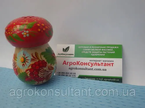 Сільничка гриб (велика) — Петровий розпис/Solyanka mushroom (big) — Petrikov painting