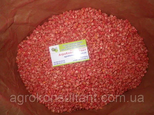 Кукурудза цукрова солодка Бондюелька ГСС 3071 (GSS 3071) F1, 500 грам Syngenta