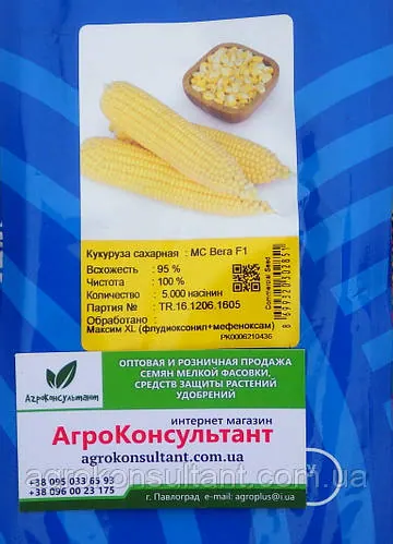 Насіння кукурудзи Вега F1 (May Seed), 5 000 насінин — ультраранній (70-75 днів), суперсолодка, цукрова