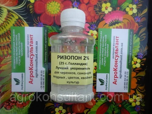 Різопон жовтий / Rhizopon Powder АА 2%, 25 г — найкращий укорінювач для рослин, Rhizopon BV