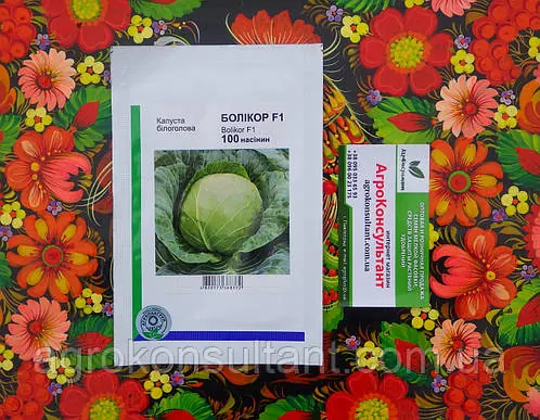 Насіння капусти Болікор F1 (Syngenta), 100 насінин — ранній гібрид (55-60 дні), білокачанна, Акіра