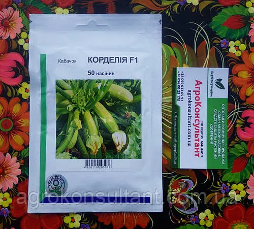 Насіння кабачка Корделія F1 (Syngenta / АГРОПАК+), 50 насінин — ранній (40-42 дні) гібрид світло-зеленого кабачка