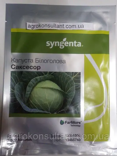 Насіння капусти Саксесор F1 (Syngenta), 2 500 насінин ― середньопізня (110-115 днів), білокачанна