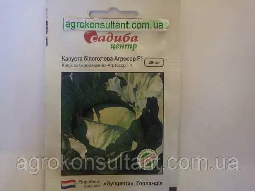 Насіння капусти Агресор F1 (Syngenta) 20 насіння — середньоздня (115-120 днів), білочане.