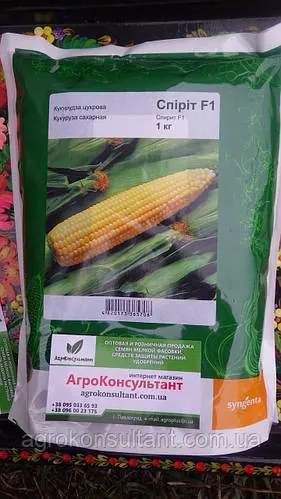 Насіння цукрової кукурудзи Спіріт F1 (Syngenta), 1 кг - ранній (68 днів) гібрид типу SU (солодка)