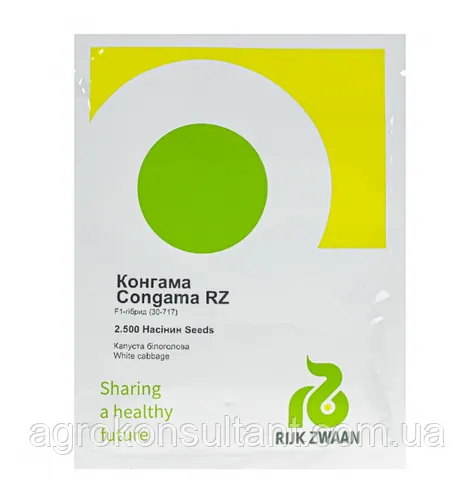 Насіння капусти Конгама F1 (Rijk Zwaan), 2 500 насінин — середньостигла (95-120 днів), білокачанна