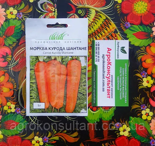 Насіння моркви Курода Шантане (United Genetics), 1 г — рання (85-90 днів), конічна, невибаглива