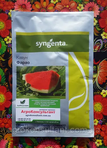 Насіння кавуна Фарао F1 (Syngenta), 1000 насінин - ранній (65-70 днів), подовженої форми, СОЛОДКИЙ!