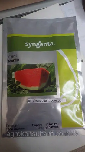 Насіння кавуна Топ Ган F1 / Топган (Syngenta) 1000 насінин — (58-62 дні), овальний, ДУЖЕ СОЛОДКИЙ! вага 8-10 кг
