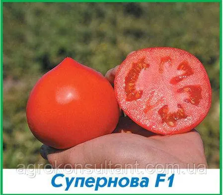 Насіння томату Каста F1 (Супернова F1), Clause, 20 насінин - ранній (65 днів), червоний, детермінантний, круглий з носиком