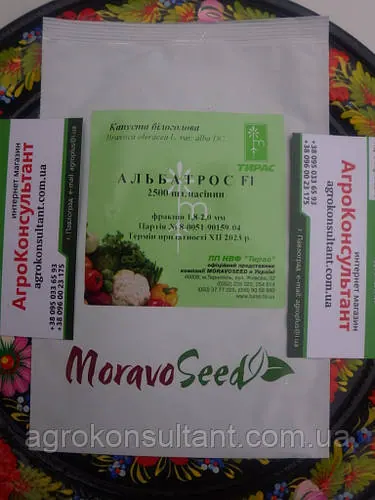 Альбатрос F1 Капуста Білокочена, Moravoseed, 2 500 насіння, подня, кругла, на зберігання