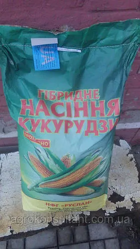 Насіння кукурудзи (29 кг) ДН Пивиха (ФАО180)