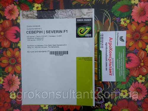 Насіння огірка Северін F1 / Severin F1 (Enza Zaden), 500 насінин - ранній (32-35 днів), партенокарпік