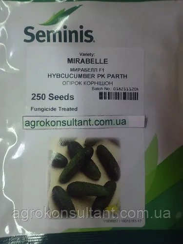 Насіння огірка Мірабелл F1 (Seminis), 250 насінин — ультраранній (40-45 днів), високоврожайний, корнішон