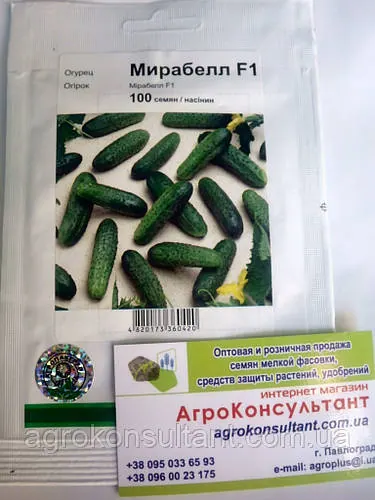 Насіння огірка Мірабелл F1 (Seminis), 100 насінин — ультраранній гібрид (40-45 днів, партенокарпик
