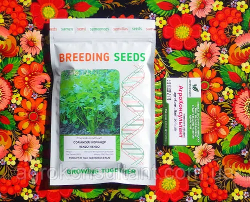 Насіння коріандру (кінзи) Кензо (Breeding Seeds), 100 грам — середньостиглий (45-48 днів), дуже ароматний