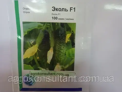 Насіння огірка Еколь F1 (Syngenta), 100 насінин — партенокарпик, ранній гібрид (40-44 дні)