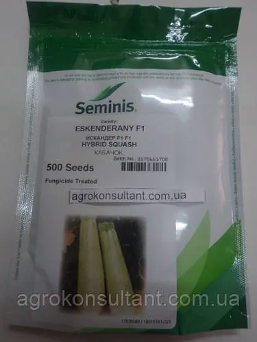 Насіння кабачка Іскандер F1 (Seminis), 500 насіння — ультраранний гібрид (40-45 днів), світлий